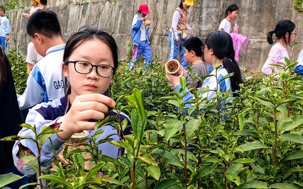 �����ЌW (2).jpg