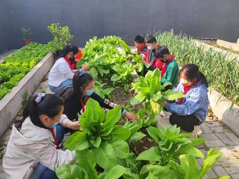 �Ϸ��йų�С�W�_չ���҄ڄ��ҿ옷�����}�������