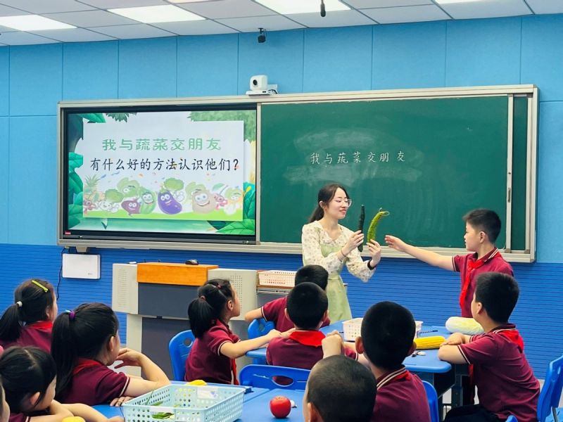 �����������F���_չ�C�ό��`����n�ý̌W(xu��)��ӑ���