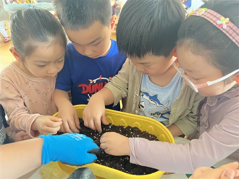 �Ϸ��д����׽������F(tu��n)���@�ԡ��С��ٳ��L(zh��ng) �ԡ��ۡ��o(h��)����