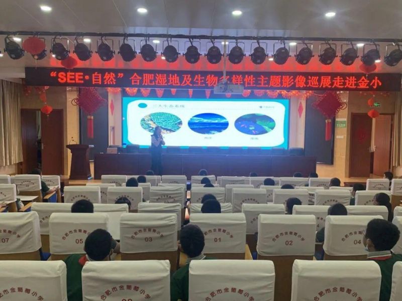 ��SEE����Ȼ���Ϸʝ�ؼ�������������}Ӱ��Ѳչ���M������С�W