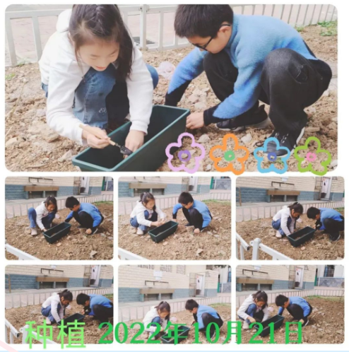 �Ϸ�����ɽС�W��벢�e�龀�Ͻ̌W����