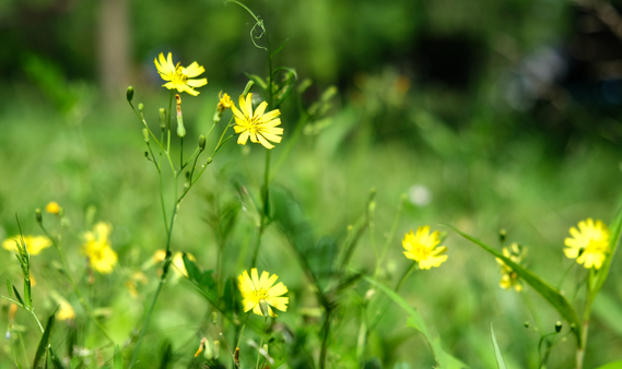 ��ɽ�^(q��)��(l��)�r(n��ng)�´�С�W(xu��)�������F(tu��n)�L(zh��ng)��·У�^(q��) �ܟ�����׌�Z(y��)�Ľ̌W(xu��)��(sh��)�`����Ҋ���족