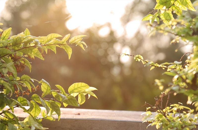 �Ϸ��И��rС�W��´У�^ ���ܣ�​С�W�������������n�̑�����벢�e