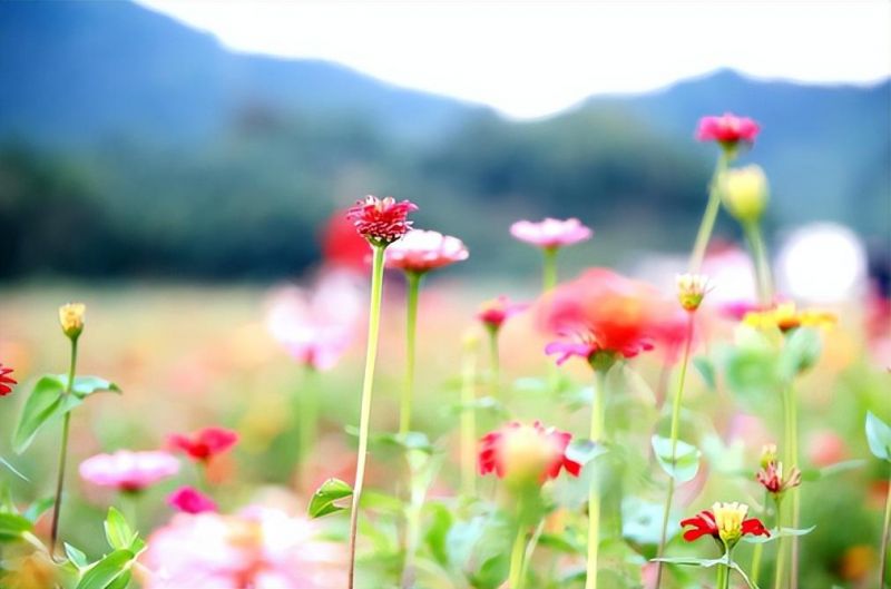 �Ϸ������@�´�С�W��У����У�^ ��ѩ�������n���I���� ���WУ�̿���