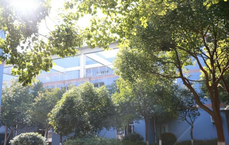 �Ϸ��н��С�W ����ɭ�����О��ȣ��������ף����F�WУ��Խʽ�lչ