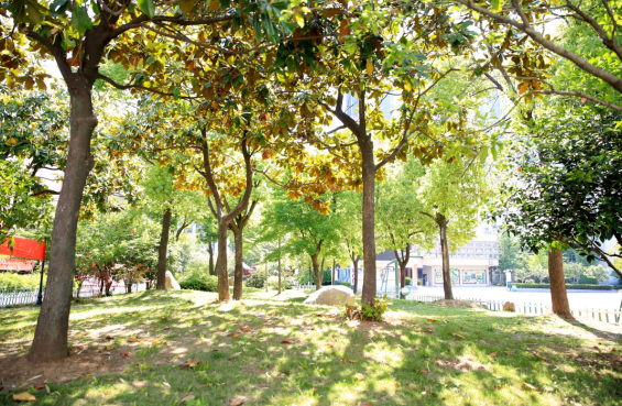 �Ϸ�����ʮ�ЌW(xu��)�|У���@У�^(q��) �~�᣺ꖹ��đB(t��i)���������������B