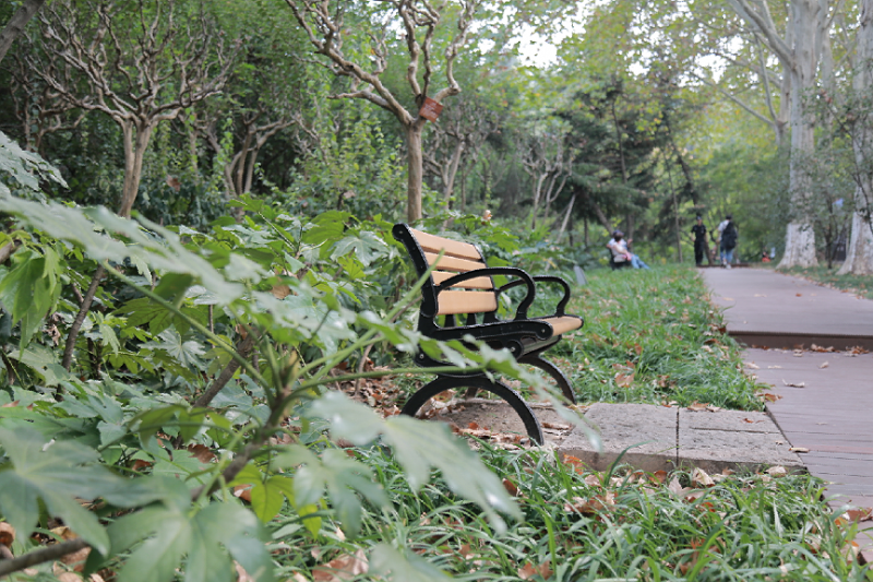 �Ϸ������@�´�С�W��У ��������ɽ�^��С�WУ�L������Ӗ�ĵ��w��