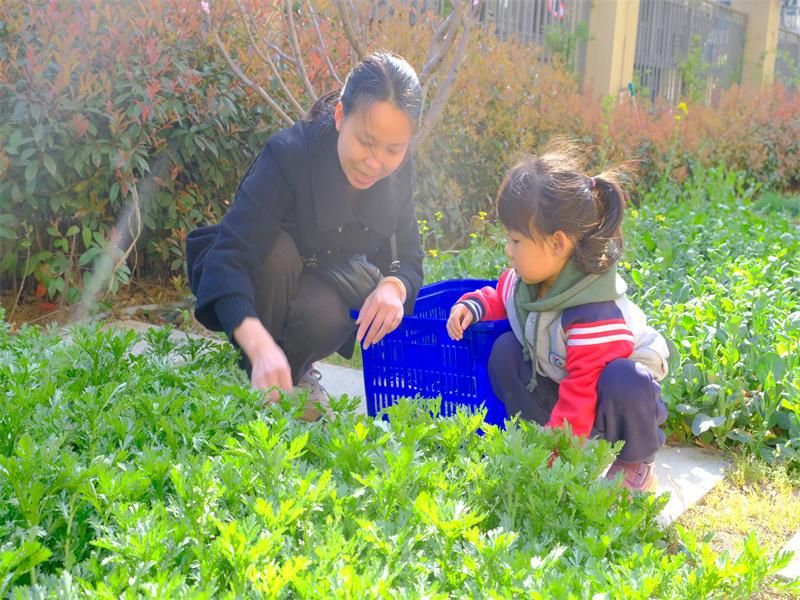 �Ϸ������v�׽̼��F�����ￂ�@�_չ�����׼��С��߲��x�u���