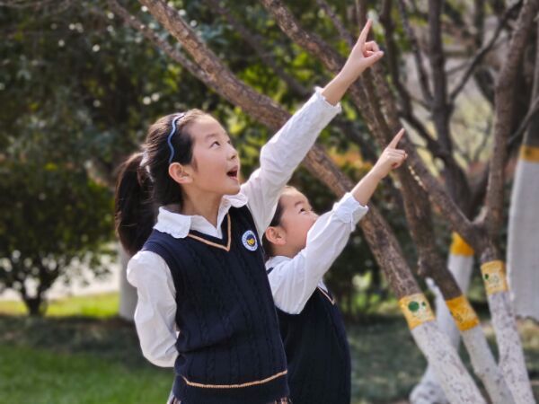 �Ϸ��а��c·����С�W(xu��)�������F(tu��n)�`ϪУ�^(q��)�����ǡ��Α��⣬һ������