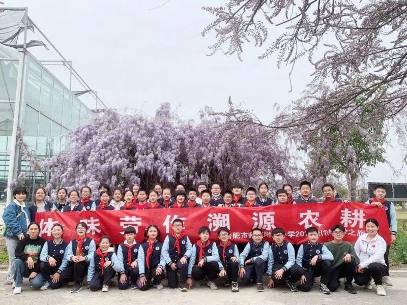 �Ϸ��Ў�������С�W�ЌW֮���꼉�ڄӽ������`���