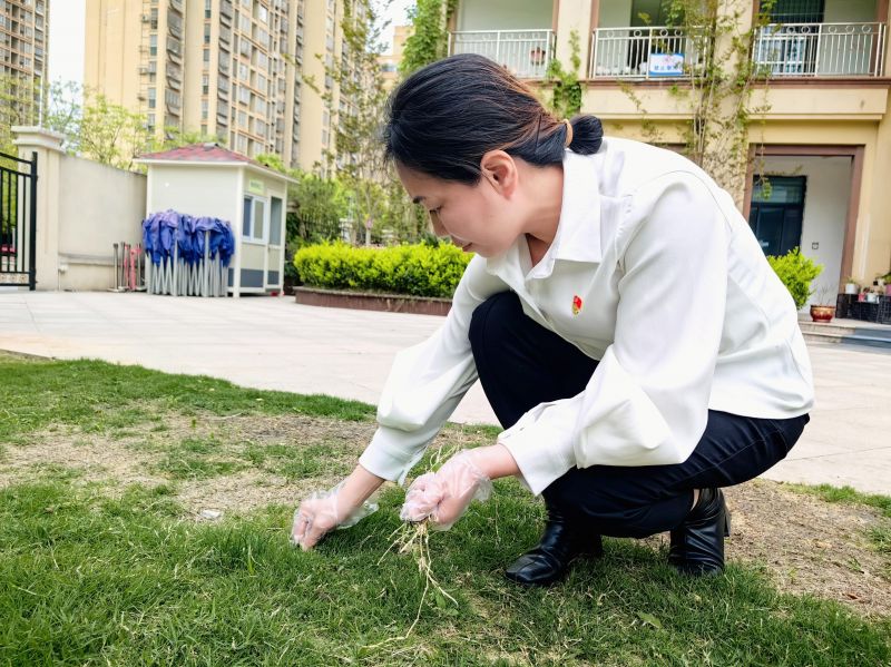 �Ϸ����p�׽������F(tu��n)Դˮ�ֈ@�_չ���β��o(h��)�G���h�F(tu��n)�T־Ը����(w��)���