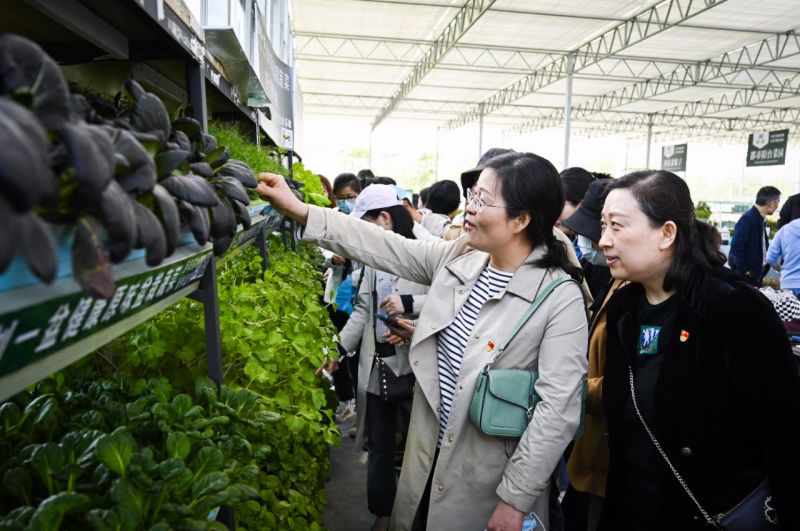 �Ϸ��а��c·����С�W�������F�����^�F���¿Ƽ� �`�аlչ������