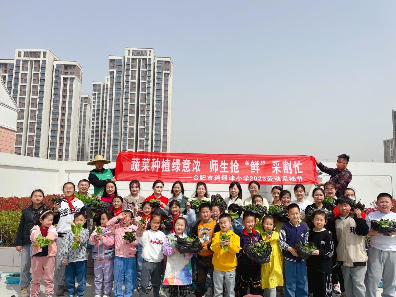 �Ϸ������b��С�W�_չ����֮�@���ڄӽ������`�����߲˷Nֲ���