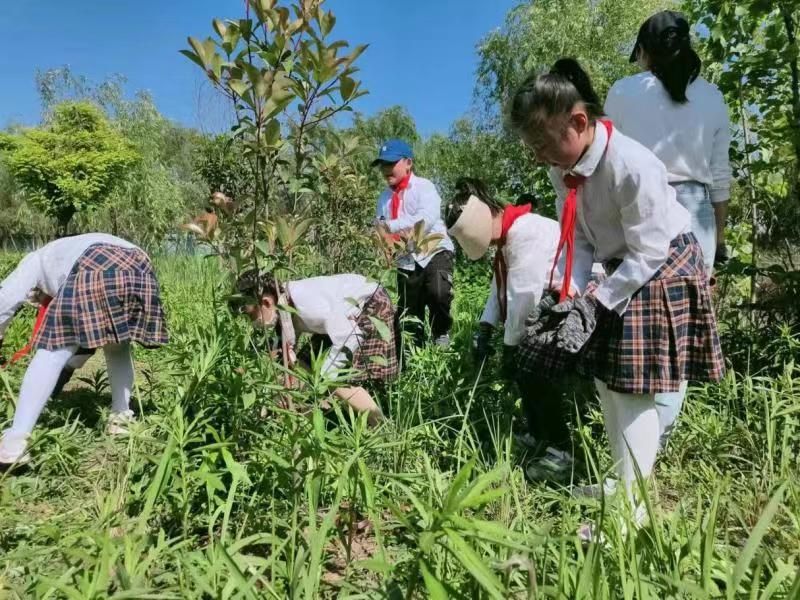 �Ϸ��а��c·����С�W(xu��)�`ϪУ�^(q��)����ؓ(f��)ů���Õr�⣬�����޼�����(d��ng)�r