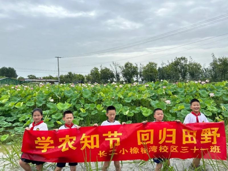 �Ϸ����L��С��䞳���W�r֪��(ji��)���ؚw��Ұ