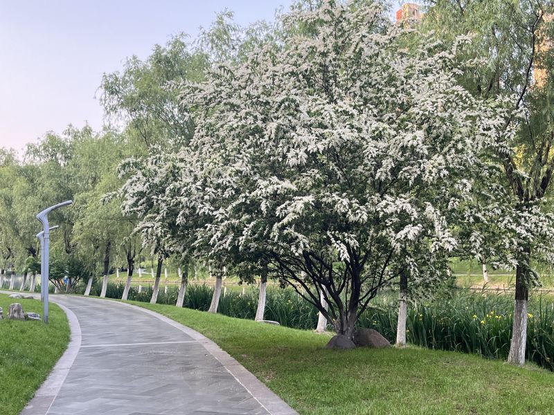 ���������|(zh��)����ʩ���A(ch��)�������n���½̲�