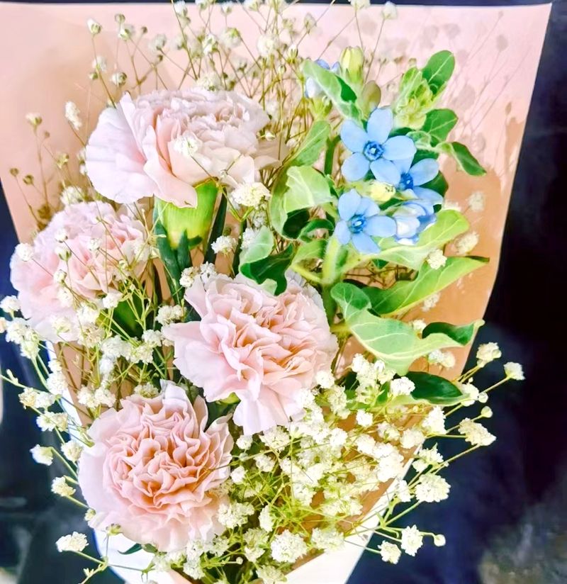 �����I��W���Ƴ��� ����ӭ���׌û�����I������