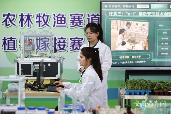 ȫ���h���k2024�������I(y��)ԺУ���ܴ�ِ���Qِِ�