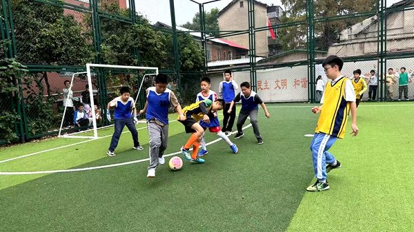 ���ۺ��������M�������w�����|���lչ