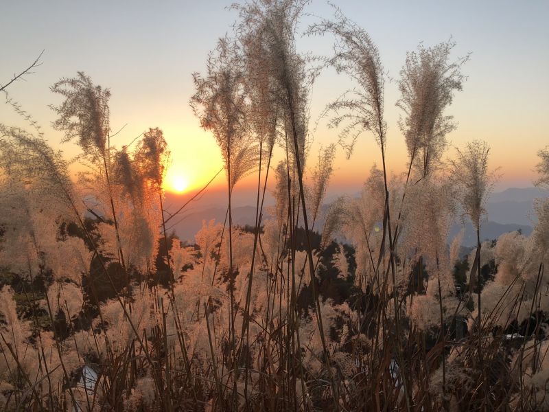 �\���Ļ���������Ȧ�ٔU��