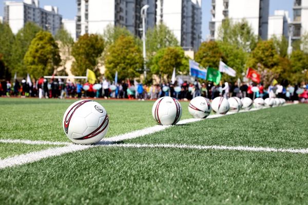 ���˳����L��W�����\������չ����Ȧ