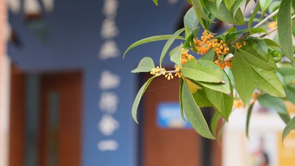 ������������ʡ�Gɫ�WУ�����x�������ڹ�ʾ