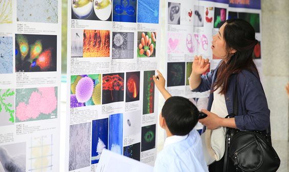 ����(bi��o)��(zh��n)�����L(zh��ng)�W(xu��)У���O(sh��)���(xi��ng)Ŀ����(d��ng)