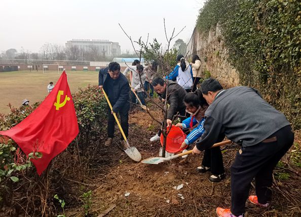 ʮ�����ČW(xu��)У�����}�h��æֲ��(sh��)��������s�o(h��)�¾G