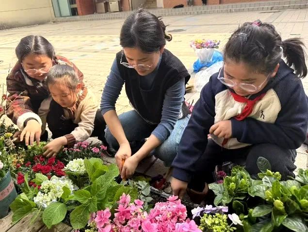 �Ϸ��а��c·����С�W�������F�_չֲ�九���}ϵ�л��