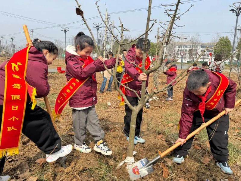 ���c·����С�W���G��ֲ���g �������B(t��i)��