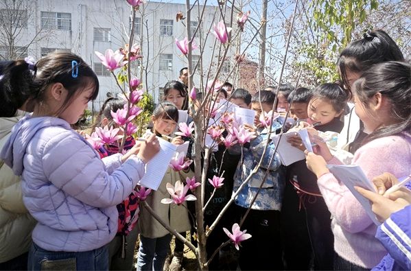 ���ɳ��С�W(xu��)���p��ֲ��ο����