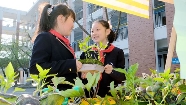 �Ϸʎ�����С���k�L�����Ŀʽ�W����ӑ��