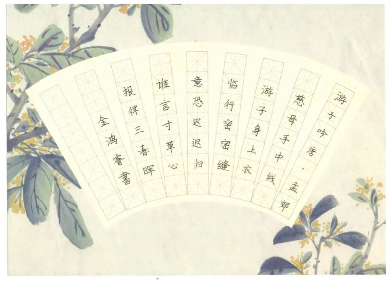 ī����С�W(xu��)��Ӳ�P������Ʒϵ��չʾ�������