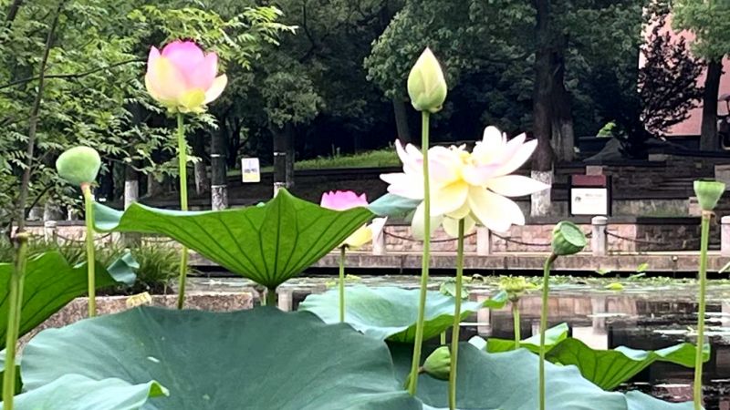 �e�����u�r���Ѻ��Ӄ����