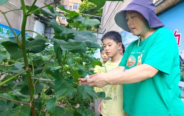 �A��·��һС�W�S�չ������æ