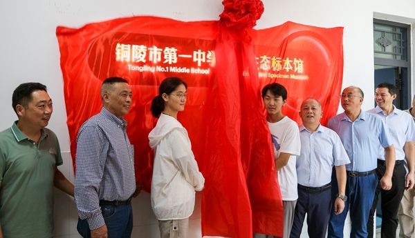 �~��һ�����B(t��i)��(bi��o)���^�����_�^