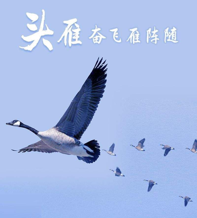 ����26�ˣ�����������ȫ���������^�㡱�̎�����