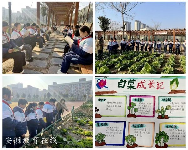 ������С���n���M���̽����Ԫ�̌W��ʽ