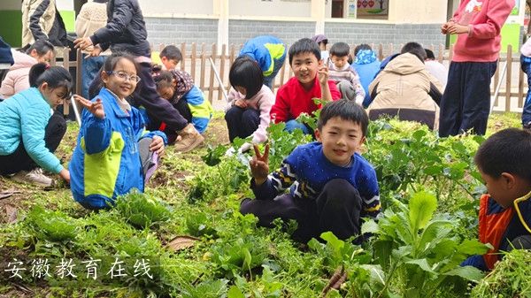 ���{���ČWУС�ˈ@����æ